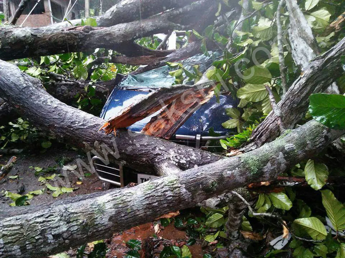 storm at Nagercoil in Kanyakumari district - Sakshi