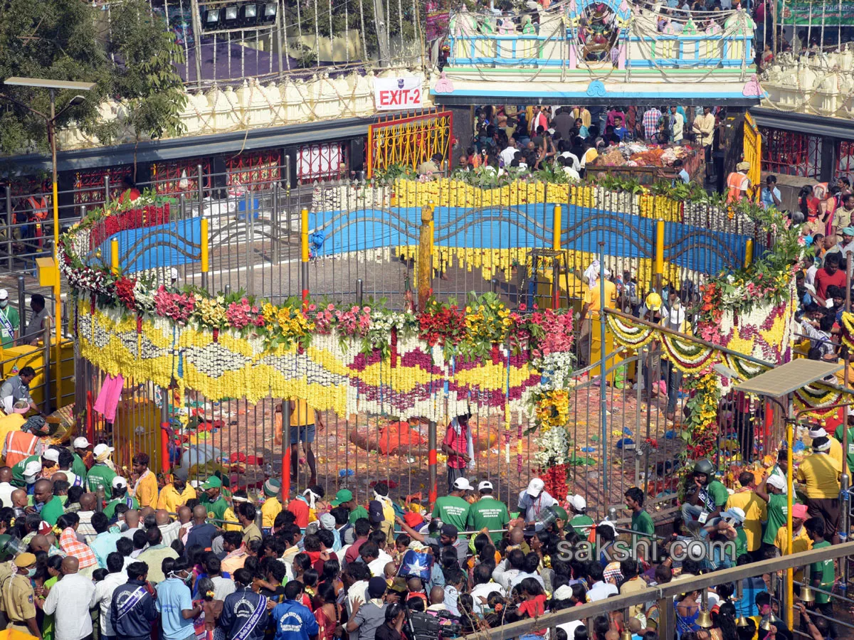 Sammakka Saralamma Jatara - Sakshi