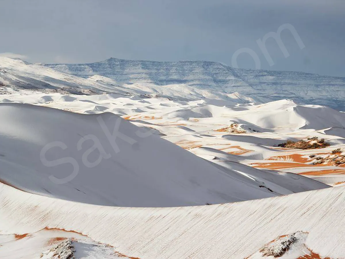 snowfall covers Sahara Desert - Sakshi