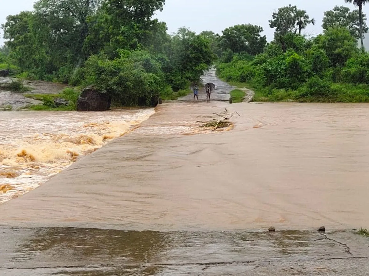 Heavy Rains East Godavari District Photo Gallery - Sakshi