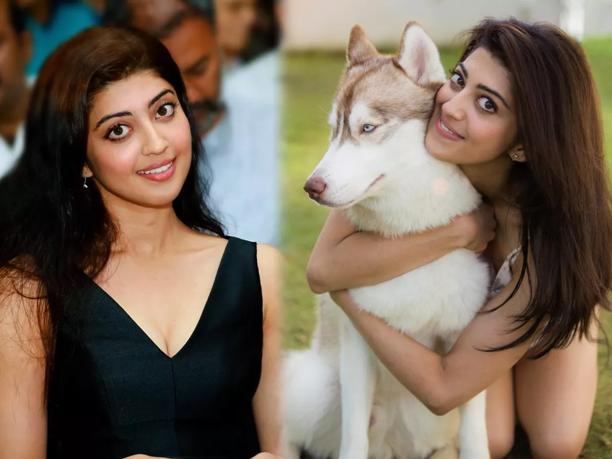 Actress Pranitha Subhash Exclusive Photo Gallery - Sakshi