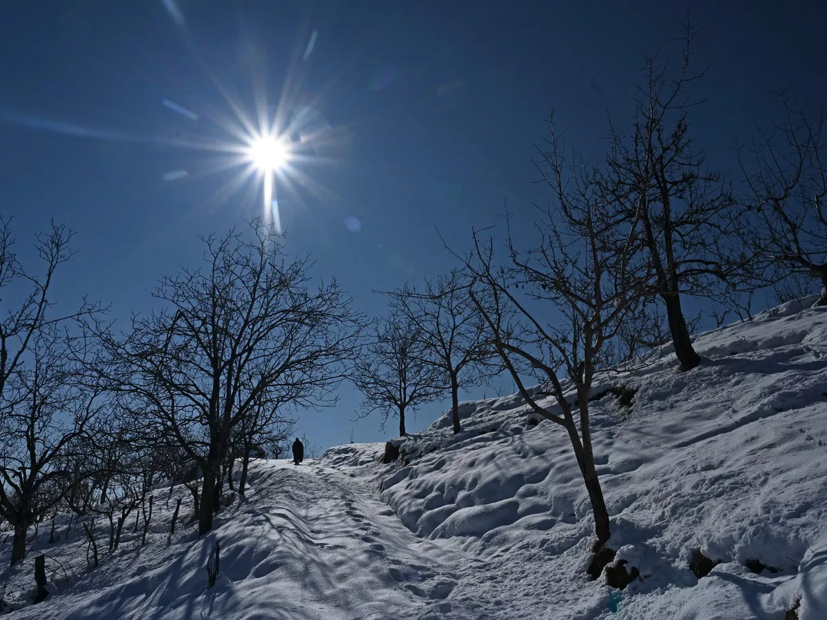 Heavy Snowfall In Jammu Kashmir Photo Gallery - Sakshi