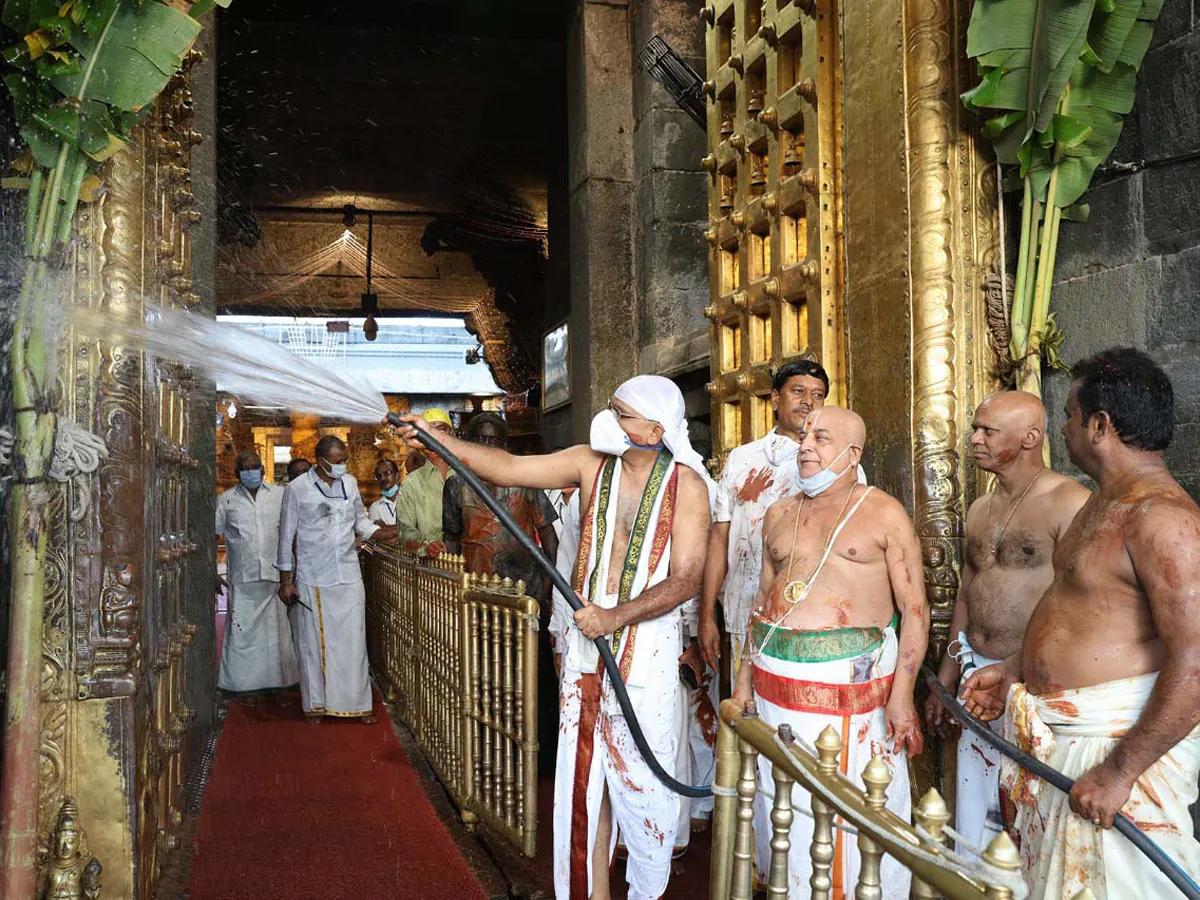 Koil Alwar Thirumanjanam Performed At Tirumala Tirupati Temple Photo Gallery - Sakshi