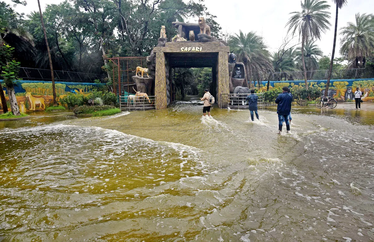 Nehru Zoo Park Closes Lion Safari In Hyderabad - Sakshi