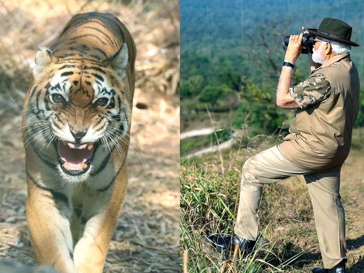 PM Narendra Modi At Tiger Reserve Photos - Sakshi