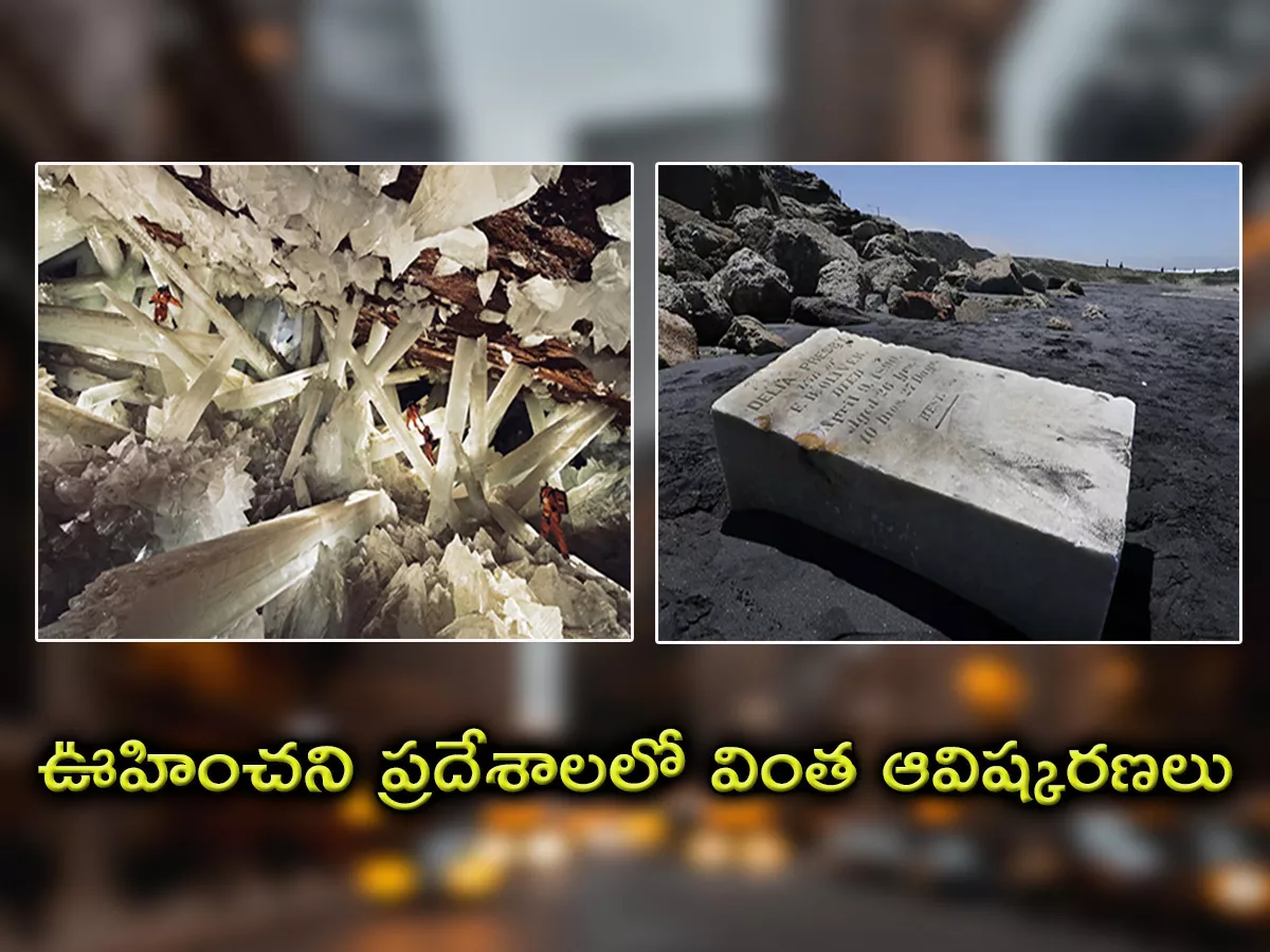 Bizarre discoveries in the most unexpected places - Sakshi