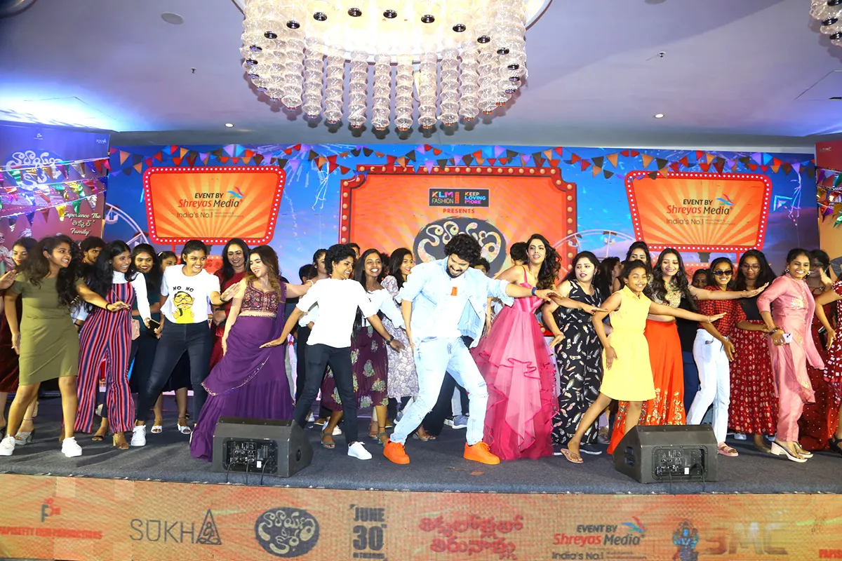 Narayana and Co Pre Release Event Pics - Sakshi