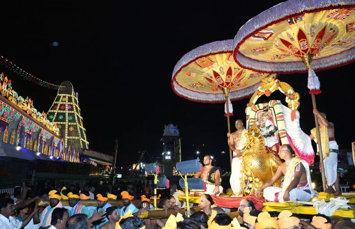 Tirumala Srivari Navaratri Brahmotsavam 2023 Hamsa Vahana Seva Photos - Sakshi