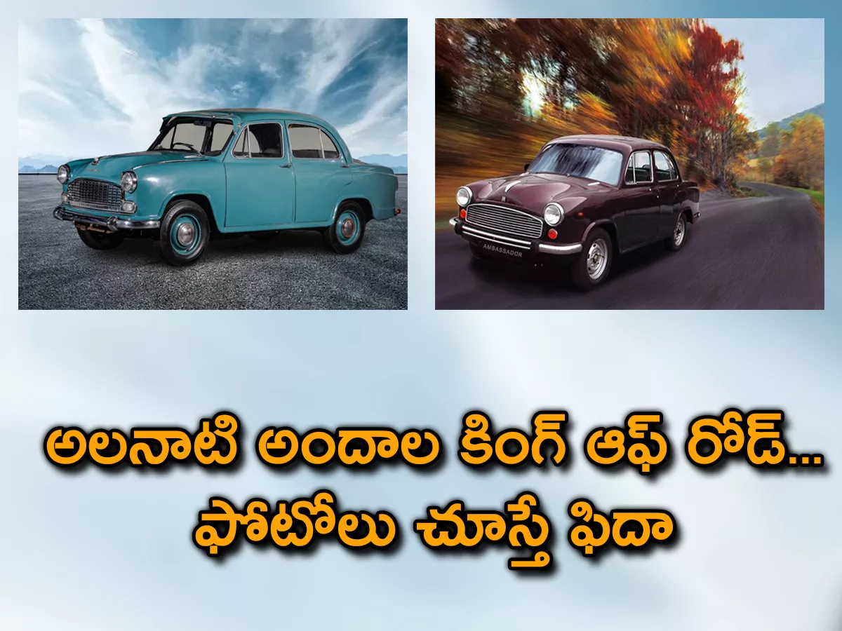 The Vintage King Of Indian Roads Is Ambassador - Sakshi