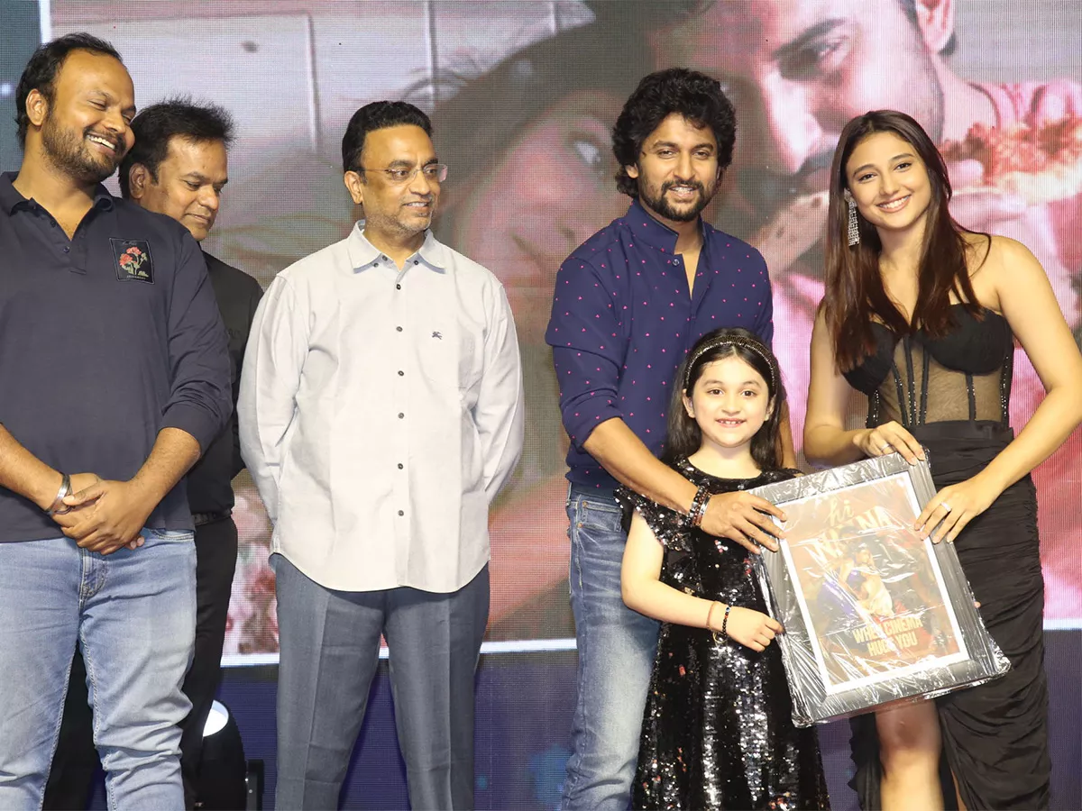 Hi Nanna Movie Success Celebrations Pics - Sakshi