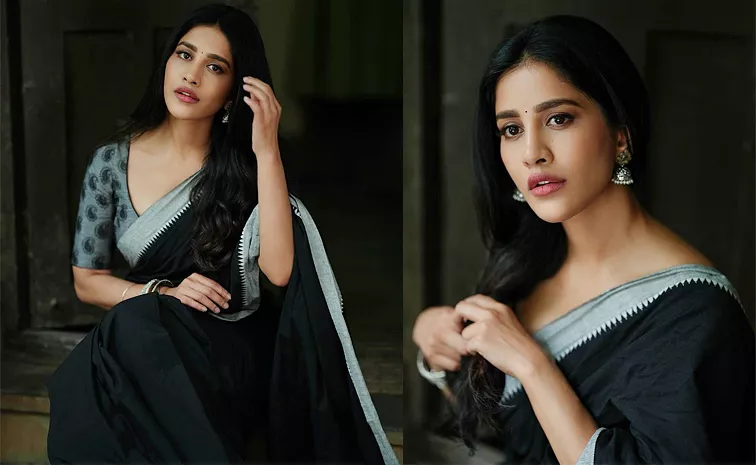 Nabha Natesh Latest Saree Photos Goes Viral