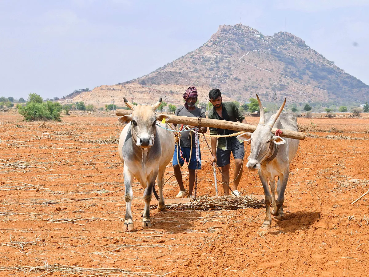 Best Photos of The Day in AP and Telangana Photo Gallery