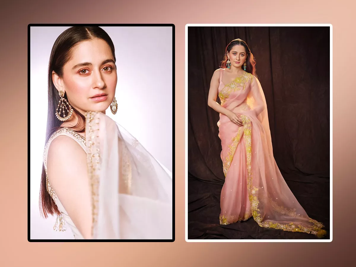 Heeramandi Heroine Sanjeeda Sheikh Ultimate Saree Looks