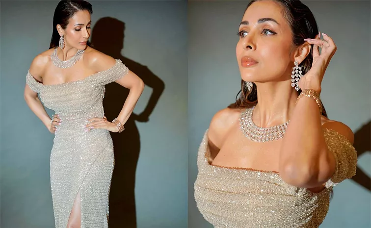 Bollywood Actress Malaika Arora Latest Outfit PhotoShoot Stills Goes Viral