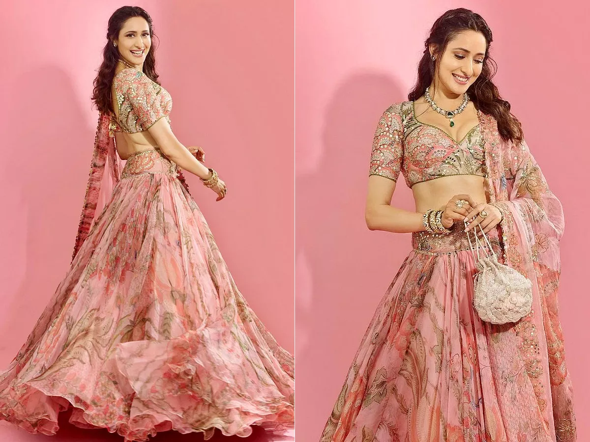 Actress Pragya Jaiswal Latest Cute Photos In Pink Long Dress Photos