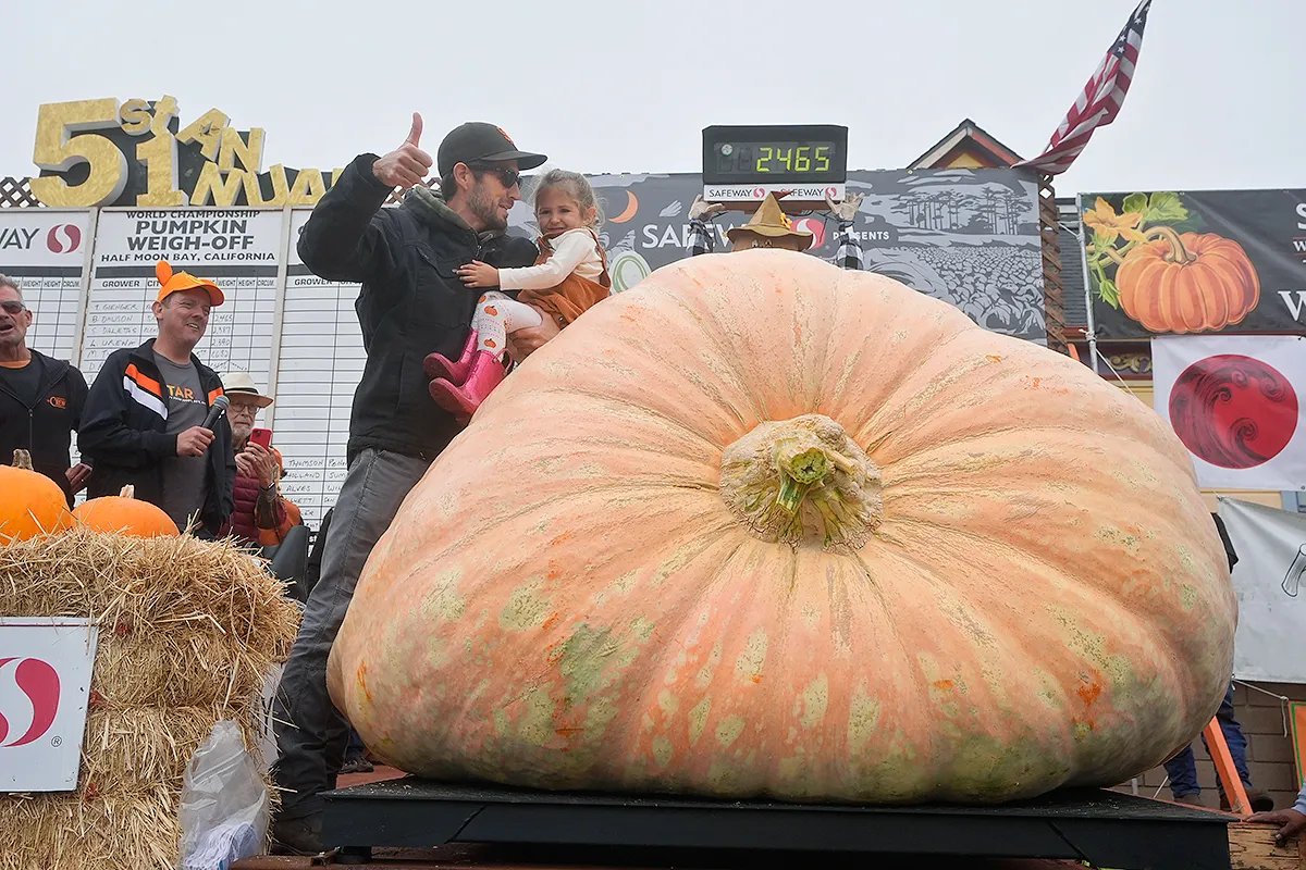 pumpkin weighed in at 2,471 pounds to win at the Safeway World Championship