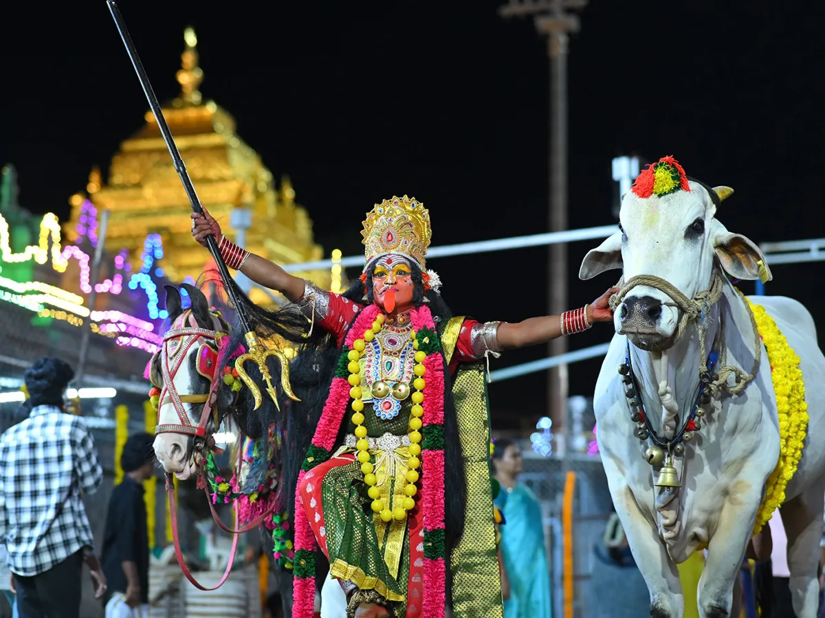 Dussehra Navratri celebrations in Srisailam Photos