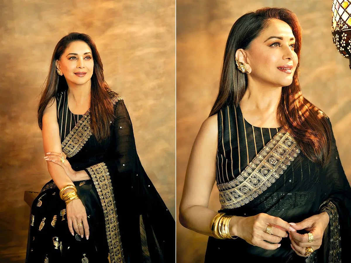 Bollywood Star actress Madhuri Dixit shares  magical Photos in black saree Photos