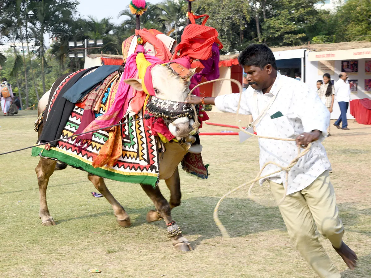 మాదాపూర్‌ శిల్పారామంలో లోక్‌ మంథన్‌ ఉత్సవాలు (ఫొటోలు)