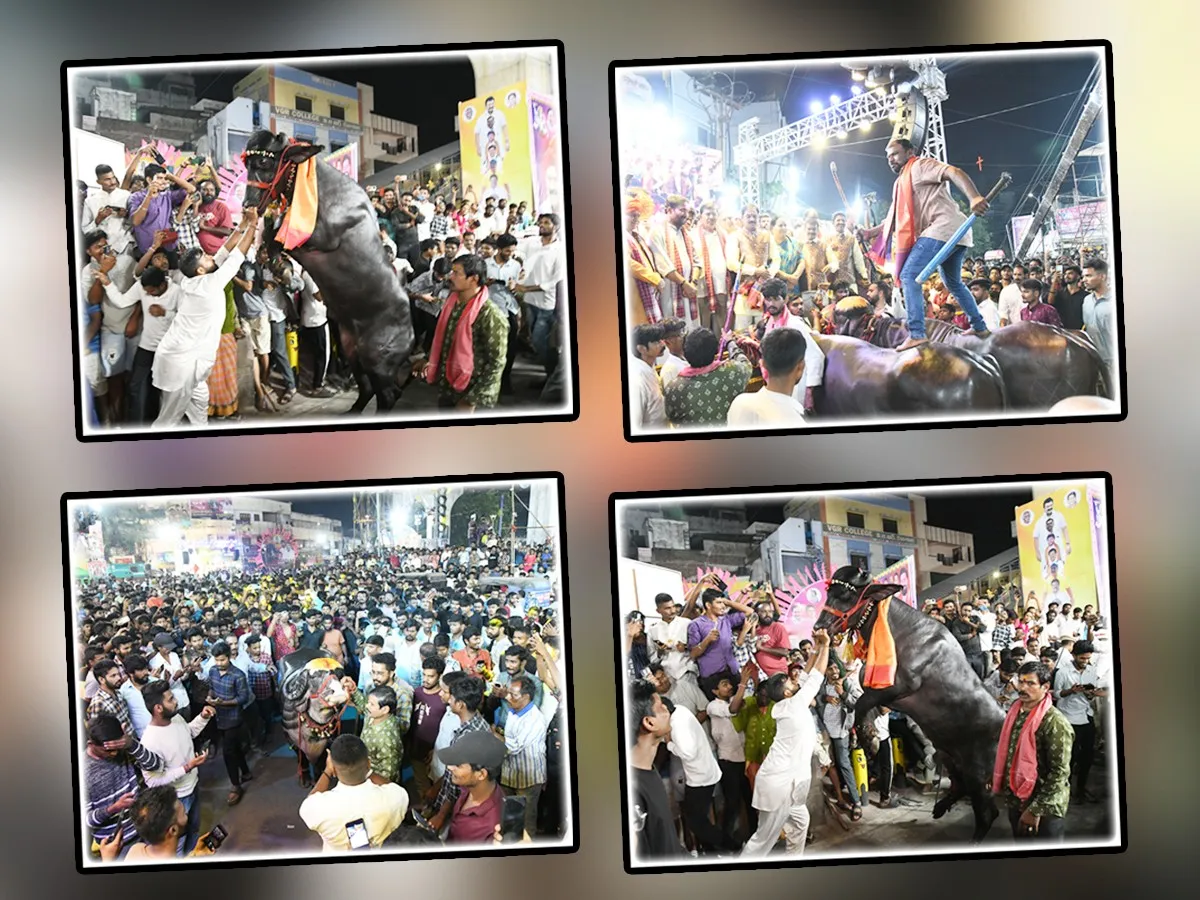 Sadar Festival Grand Celebrations At Narayanaguda