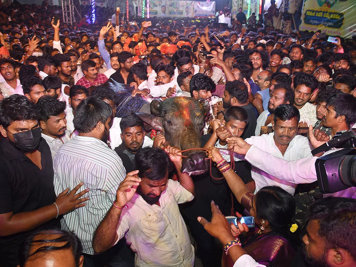 Sadar Festival at Hanamkonda Photos