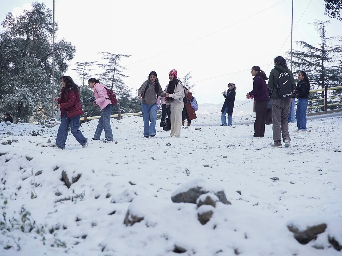 In Pics: Season's First Snowfall In Himachal Pradesh's Shimla