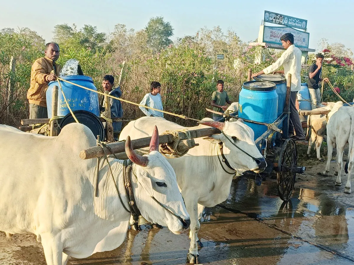 Best Photos Of The Week : ఈ వారం  ఉత్తమ చిత్రాలు (డిసెంబర్ 22-29)