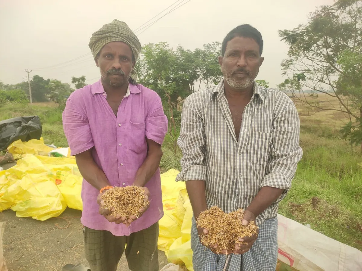 Cyclone Fengal Andhra Pradesh Photos