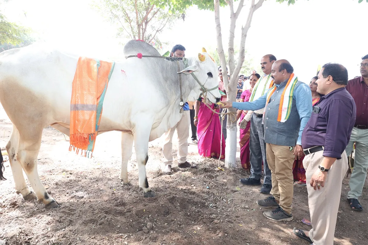 Sankranti Celebrations 2025 in Yogi Vemana University Kadapa district