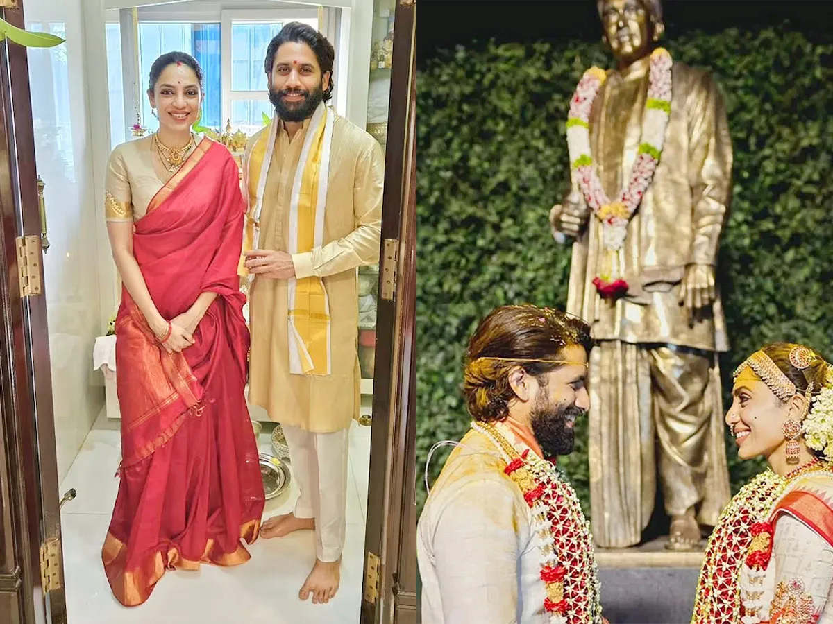 Nagarjuna on Naga Chaitanya and Akhil Akkineni Marriage Plans Photos