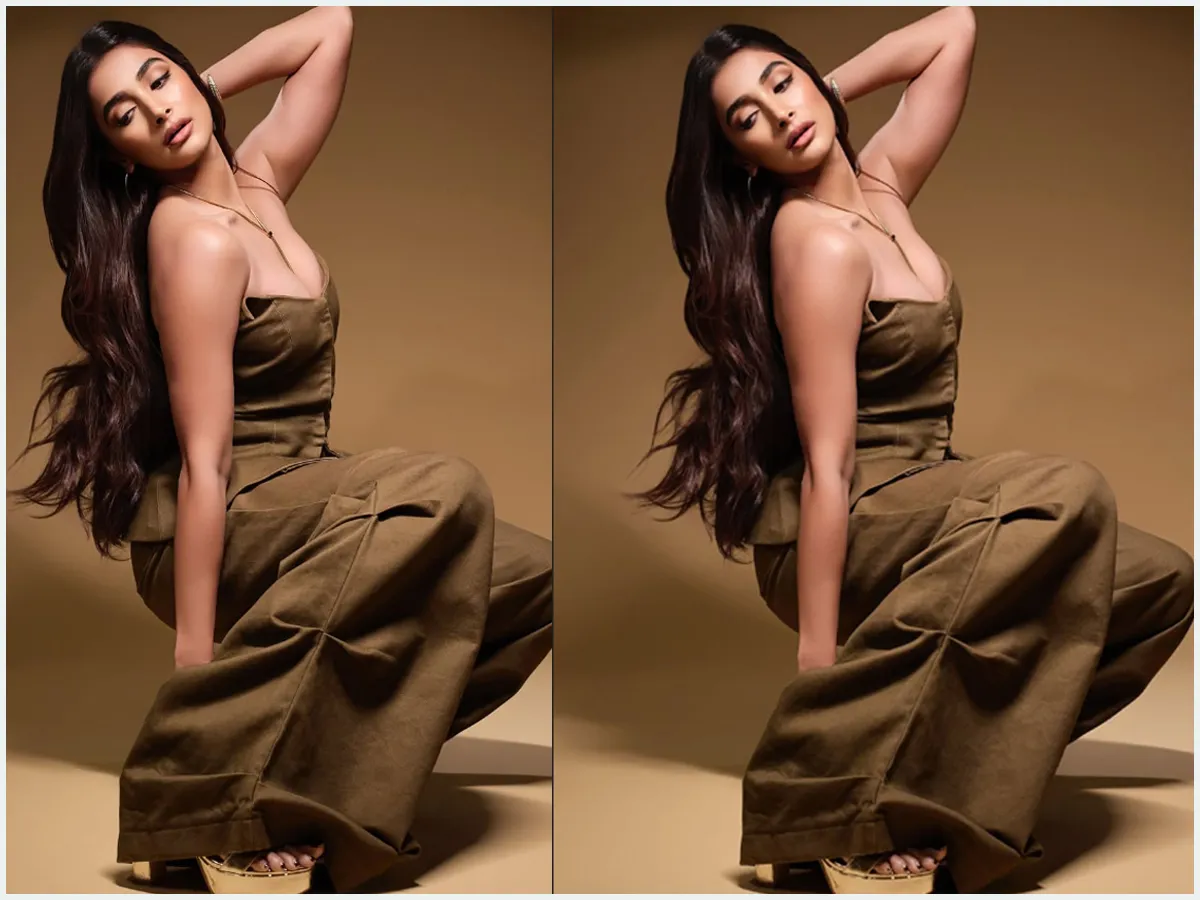 Actress Pooja Hegde Hot And Spicy Stills