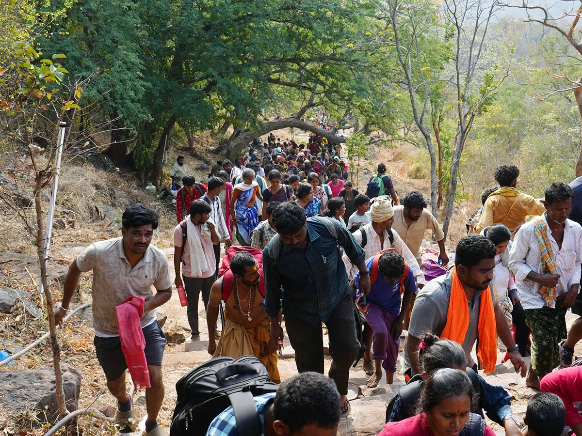 Maha Shivaratri 2025 Celebrations at Srisailam Photos