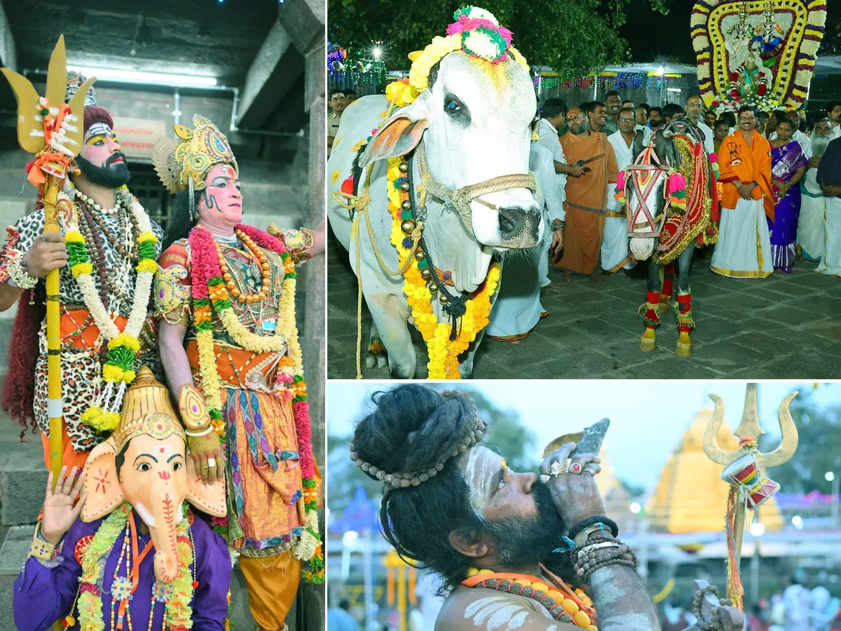 Maha Shivratri 2025 : Srisailam Brahmotsavam 2025 Photos