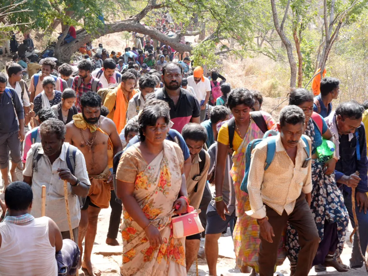 maha shivaratri 2025 celebrations at srisailam photos