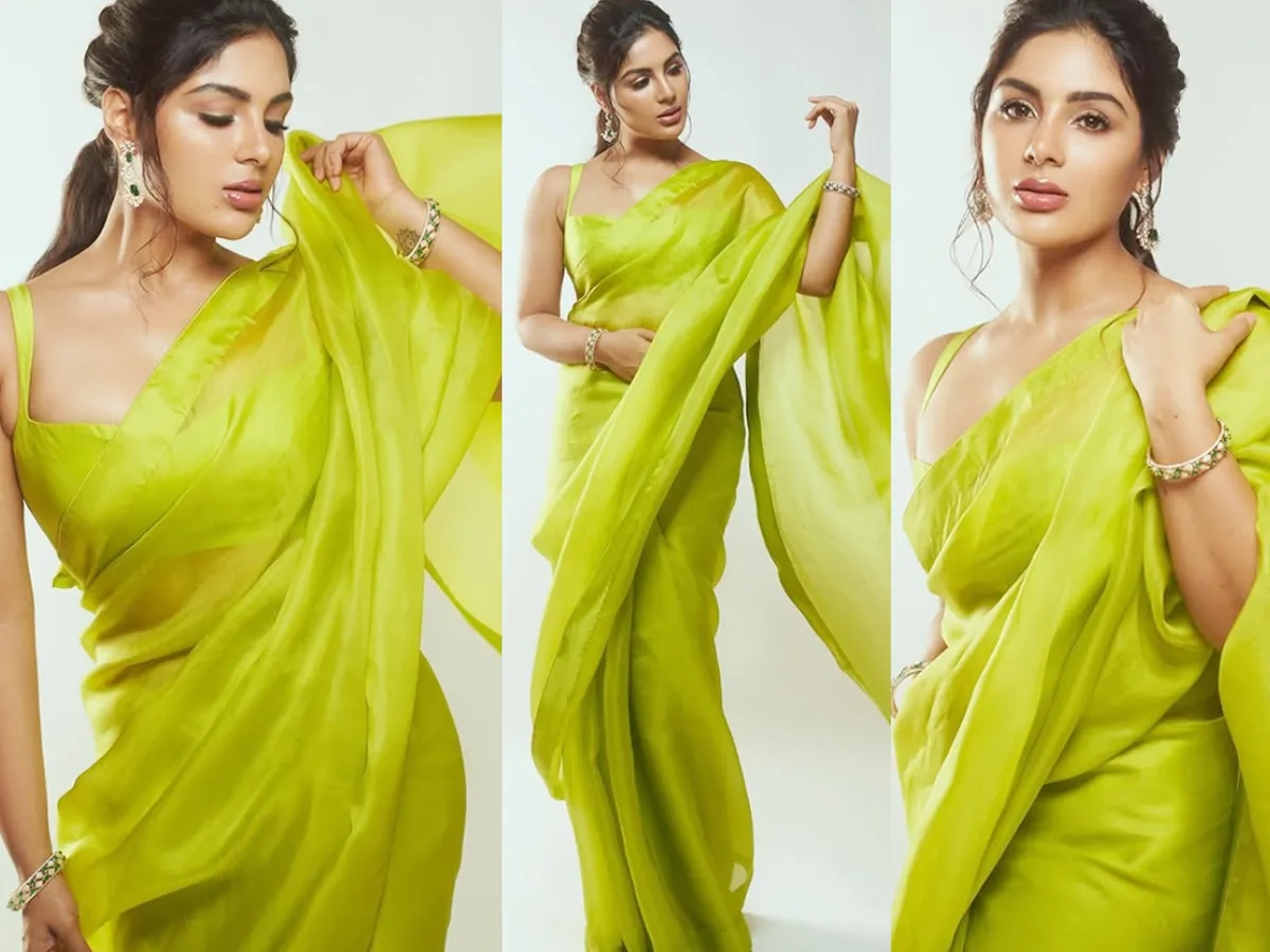 Samyuktha confidence and elegance photos in saree