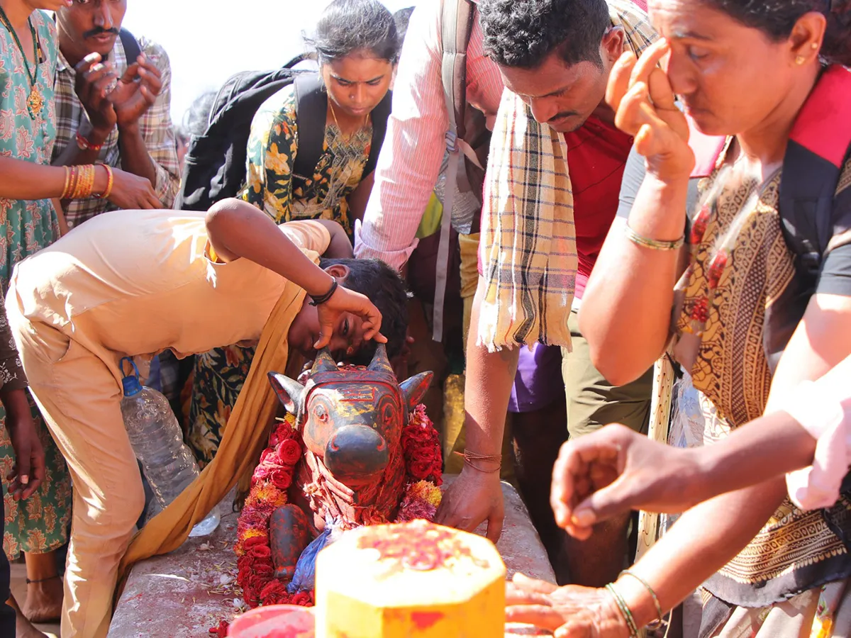 Maha Shivaratri : Devotees Rush at Srisailam Temple Photos