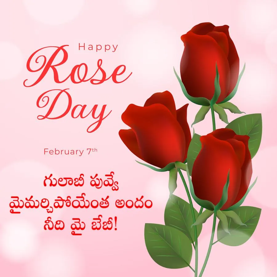 Happy Rose Day Quotes To Wish Your Valentine