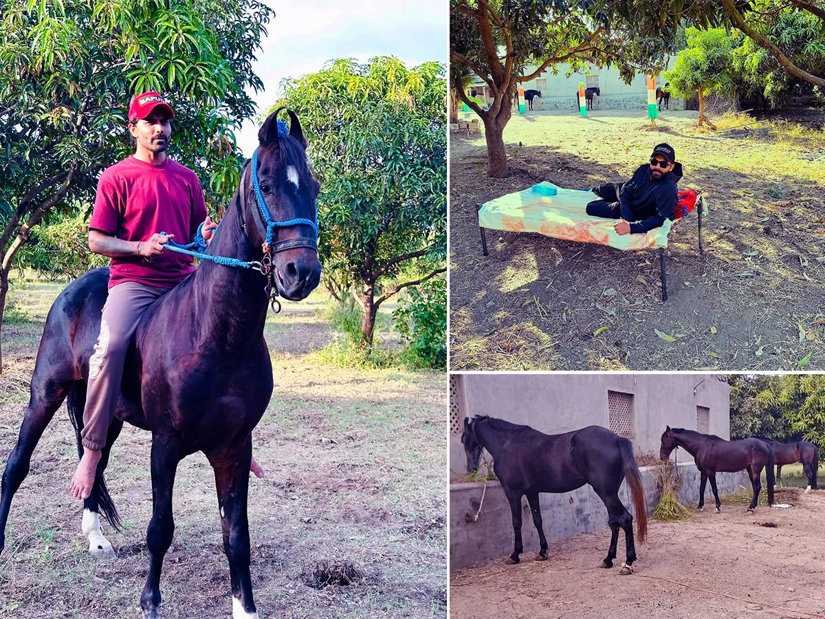 Ravindra Jadeja Rides Horse at his Farm House