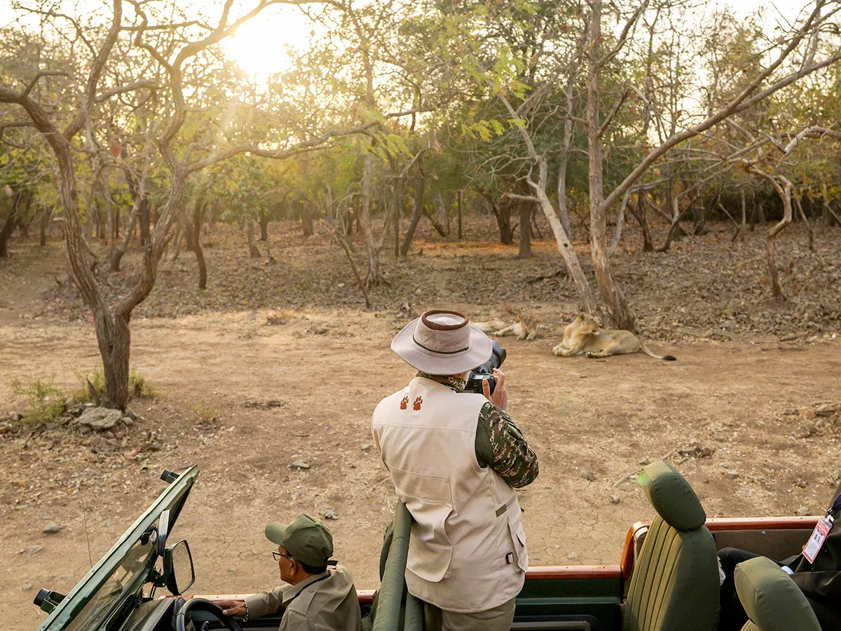 Prime Minister Narendra Modi lion safari at Gir Wildlife Sanctuary